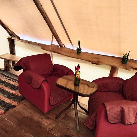Auberge de jeunesse Glamping Rustiko à Salento Chambre photo