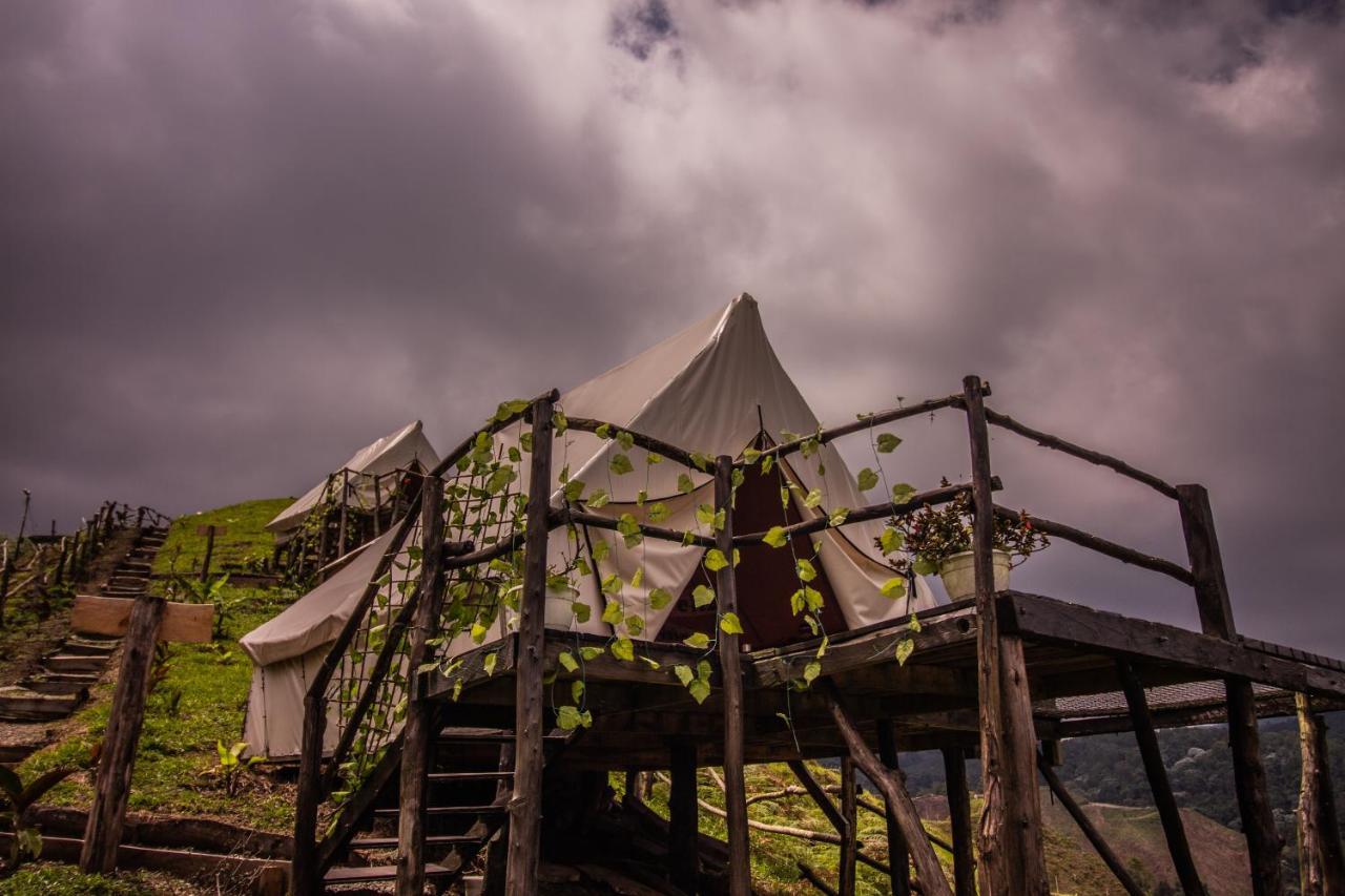 Auberge de jeunesse Glamping Rustiko à Salento Extérieur photo
