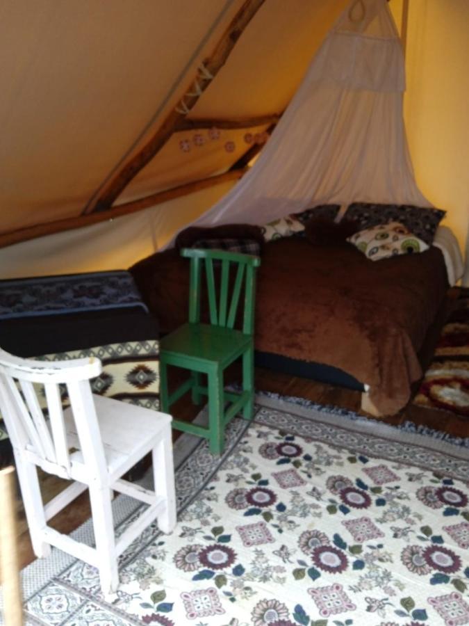 Auberge de jeunesse Glamping Rustiko à Salento Extérieur photo