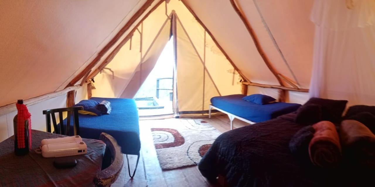 Auberge de jeunesse Glamping Rustiko à Salento Chambre photo